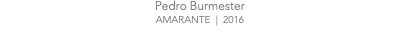 Pedro Burmester AMARANTE | 2016